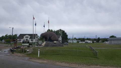 Beaverlodge Giant Beaver